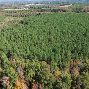 dji_fly_20251021_122934_241_176106418059