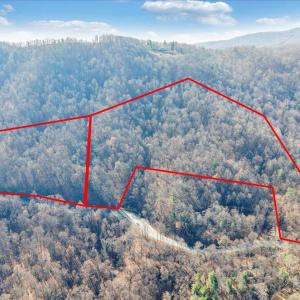 02-DJI_20251119131657_0006_D