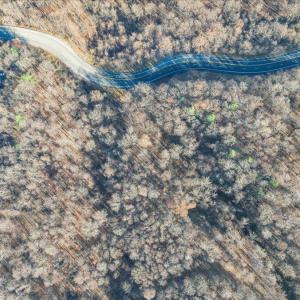 29-DJI_20251119132540_0032_D