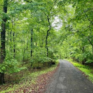 Photo #2 of CARSONS WAY, AMISSVILLE, VA 10.0 acres