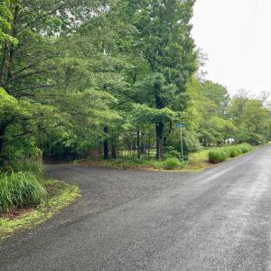 Photo #1 of CARSONS WAY, AMISSVILLE, VA 10.0 acres