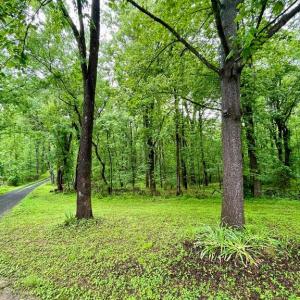 Photo #3 of CARSONS WAY, AMISSVILLE, VA 10.0 acres