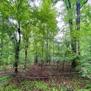 Photo #5 of CARSONS WAY, AMISSVILLE, VA 10.0 acres