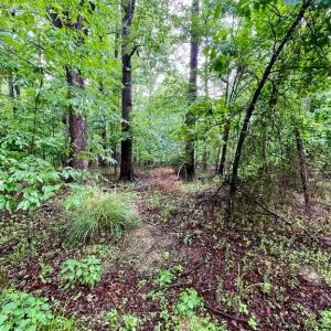 Photo #6 of CARSONS WAY, AMISSVILLE, VA 10.0 acres