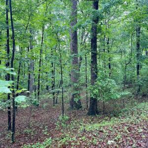 Photo #9 of CARSONS WAY, AMISSVILLE, VA 10.0 acres