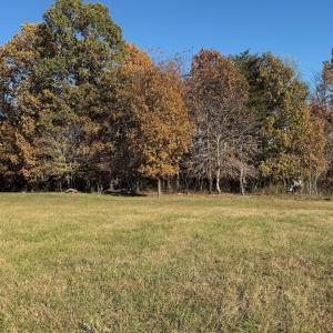 Dykstra ground photos - 21