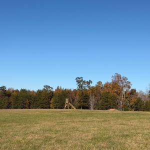 Dykstra ground photos - 20