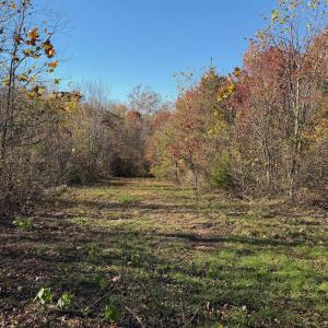 Dykstra ground photos - 2