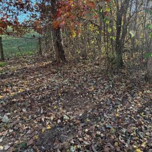 Dykstra ground photos - 30