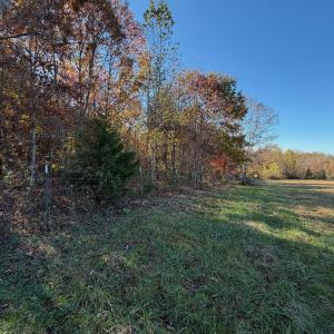 Dykstra ground photos - 18