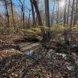 Dykstra ground photos - 11