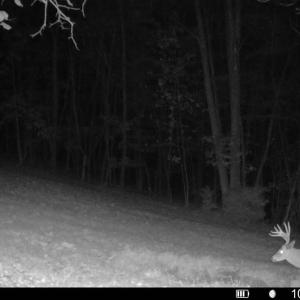 Game Camera - 1