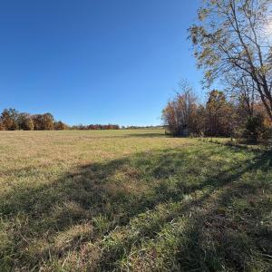 Dykstra ground photos - 19