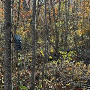 Dykstra ground photos - 15