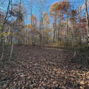 Dykstra ground photos - 13