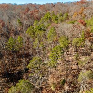 LEESVILLE - 23