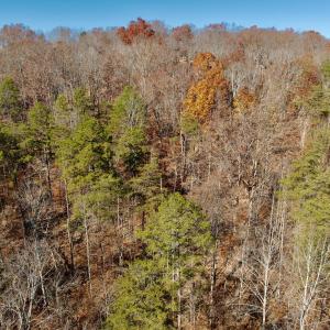 LEESVILLE - 19