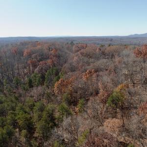 LEESVILLE - 12