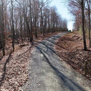 LEESVILLE - 2