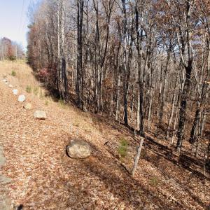 LEESVILLE - 1