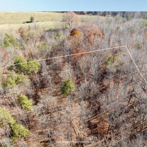 Copy of Boundary lines are approximate (