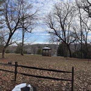 Picnic Area