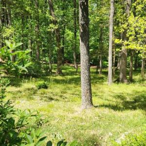 Photo #1 of  0.5 acres