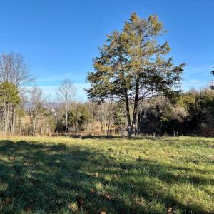 Photo #5 of HARPER VALLEY LOT 9A SITE 1, LURAY, VA 3.4 acres