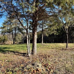 Photo #6 of HARPER VALLEY LOT 9A SITE 1, LURAY, VA 3.4 acres