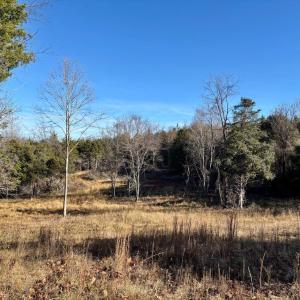 Photo #8 of HARPER VALLEY LOT 9A SITE 1, LURAY, VA 3.4 acres
