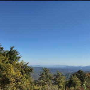 Ross view 2