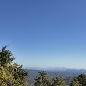 Ross view 1
