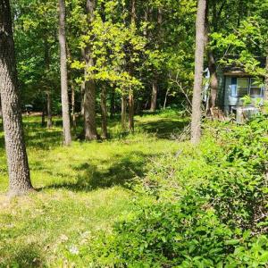 Photo #2 of  0.6 acres