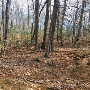 20220422040703865280000000-o