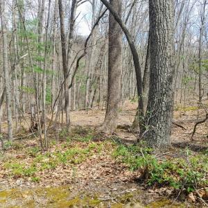 20220422040742588004000000-o