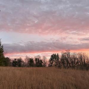 lot 32 windsor castle with trees behind