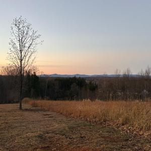 lot 32 windsor castle edge of property