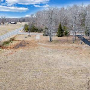 Lot Strawberry Banks