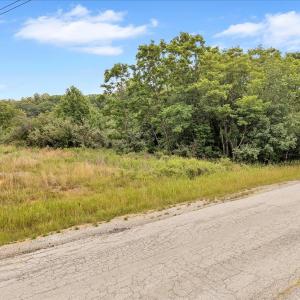 03-8380 Arabian Ln_03