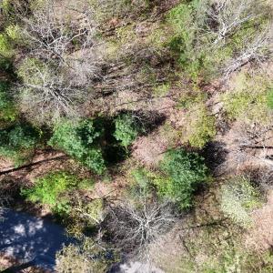 20240423232714950478000000-o