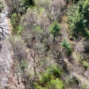 20240423232707310514000000-o