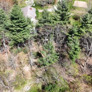 20240423232659955336000000-o