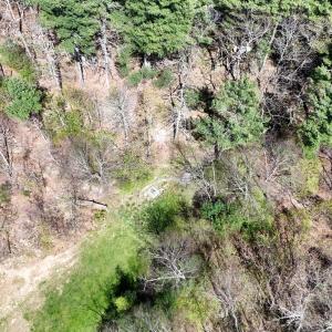 20240423232652221590000000-o