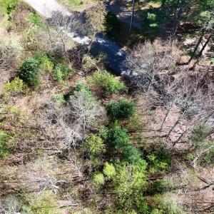 20240423232644865775000000-o