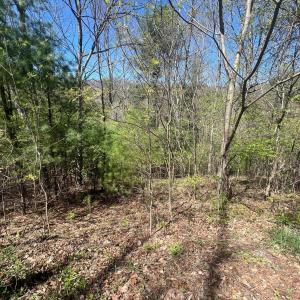 20240423232636322582000000-o