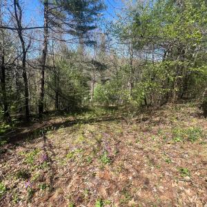 20240423232613561815000000-o