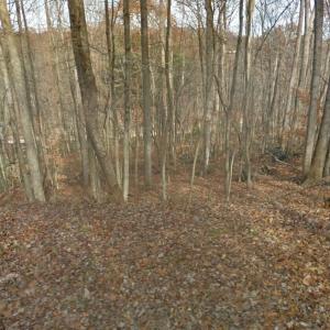 1981291591streetview_198129_S