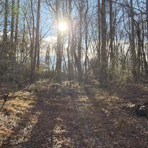 Ready for Your New Home