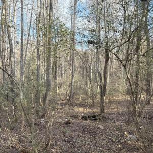 Wooded Acreage