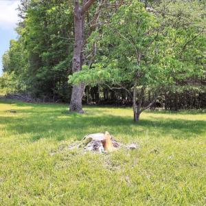 04-Coal Bank Hollow Rd_04